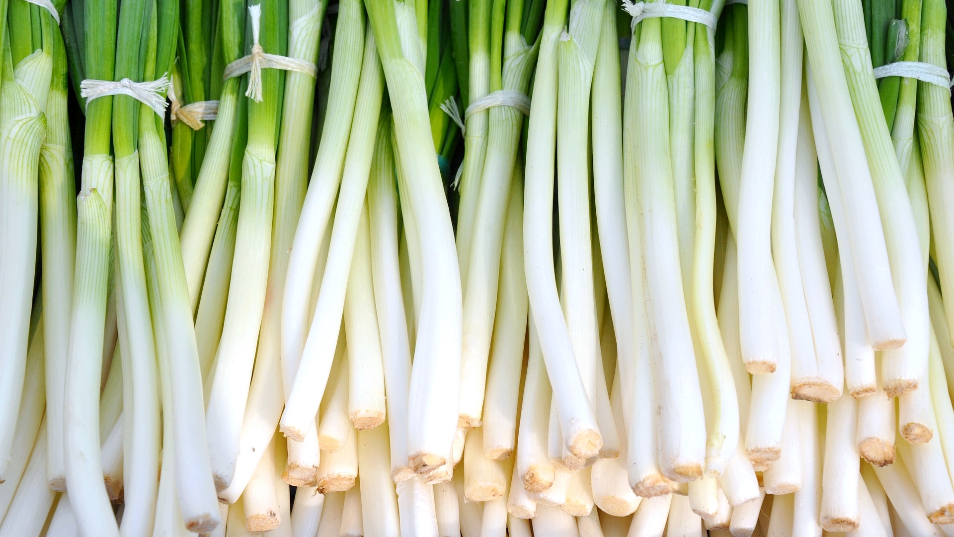 top_banner